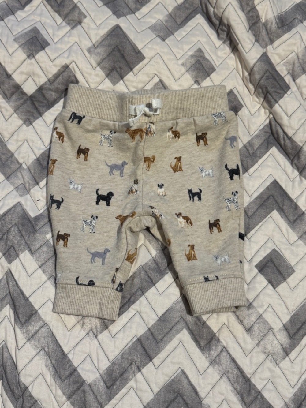 Janie and Jack Cream Puppy Print Joggers